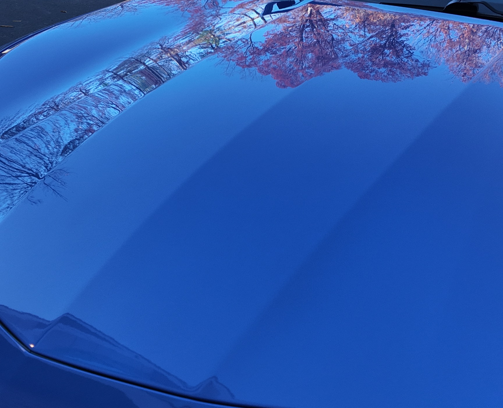 Paint Protection Film
